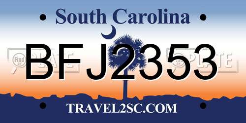 BFJ2353 South Carolina License Plate