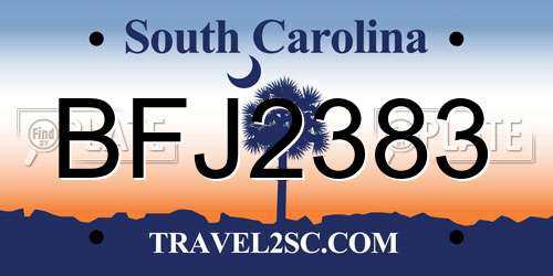 BFJ2383 South Carolina License Plate