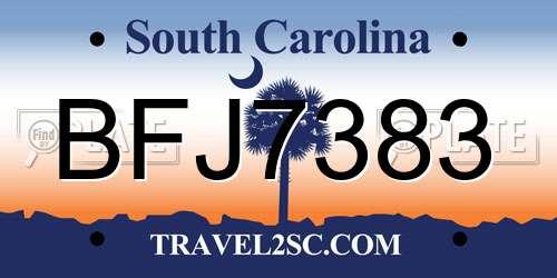 BFJ7383 South Carolina License Plate