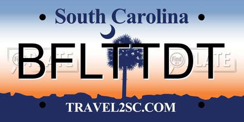 BFLTTDT South Carolina License Plate