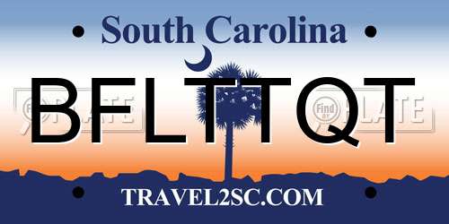 BFLTTQT South Carolina License Plate