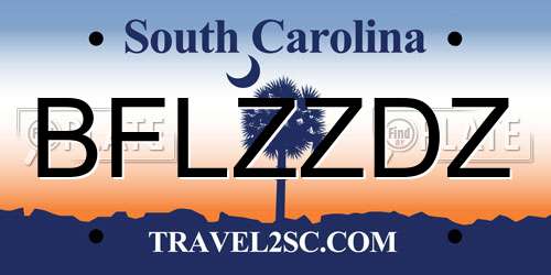 BFLZZDZ South Carolina License Plate