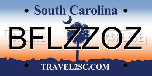 BFLZZOZ South Carolina License Plate