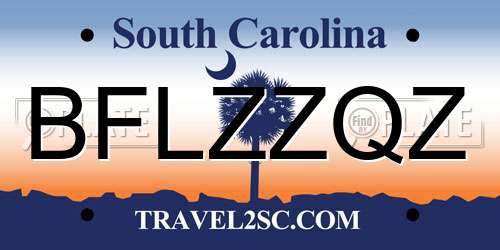 BFLZZQZ South Carolina License Plate