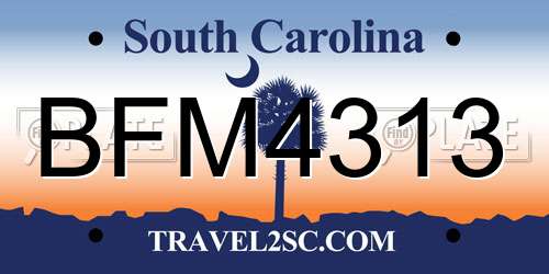 BFM4313 South Carolina License Plate