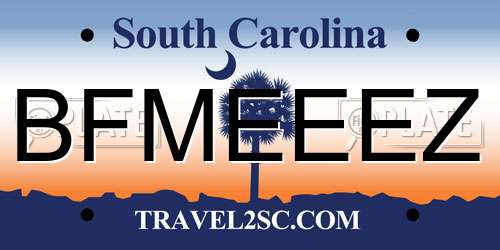 BFMEEEZ South Carolina License Plate