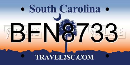 BFN8733 South Carolina License Plate