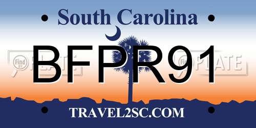 BFPR91 South Carolina License Plate