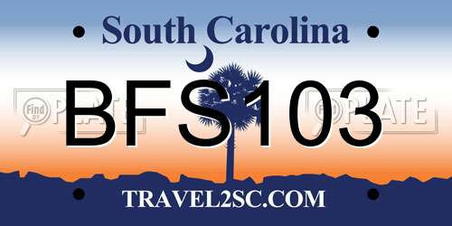 BFS103 South Carolina License Plate