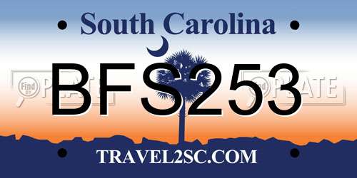 BFS253 South Carolina License Plate