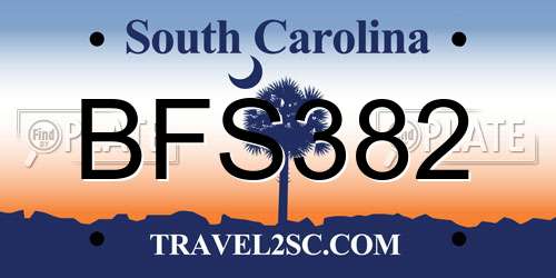 BFS382 South Carolina License Plate