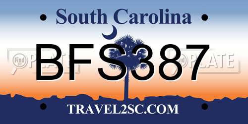 BFS387 South Carolina License Plate