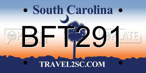 BFT291 South Carolina License Plate