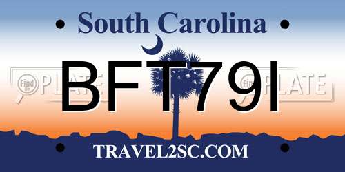 BFT79I South Carolina License Plate