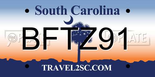 BFTZ91 South Carolina License Plate