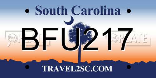 BFU217 South Carolina License Plate
