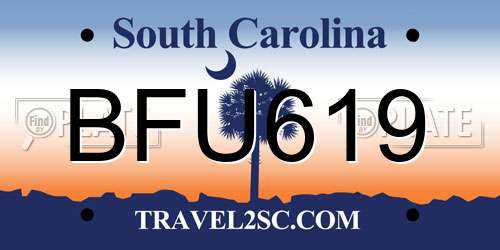 BFU619 South Carolina License Plate