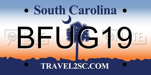 BFUG19 South Carolina License Plate