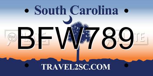 BFW789 South Carolina License Plate