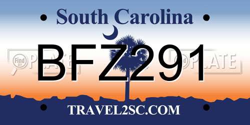 BFZ291 South Carolina License Plate