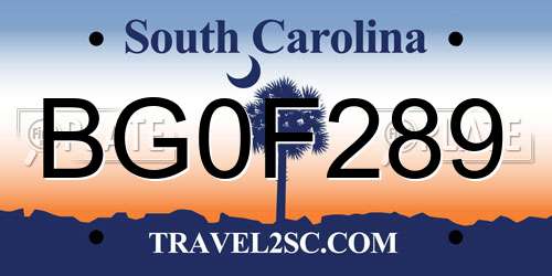BG0F289 South Carolina License Plate