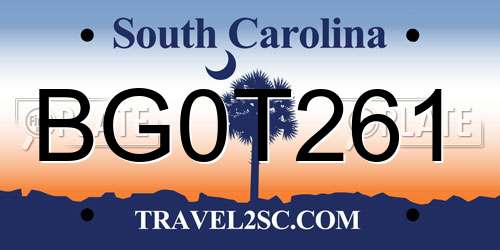 BG0T261 South Carolina License Plate