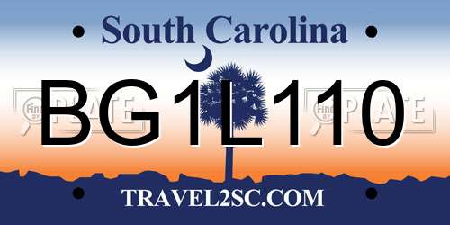 BG1L110 South Carolina License Plate
