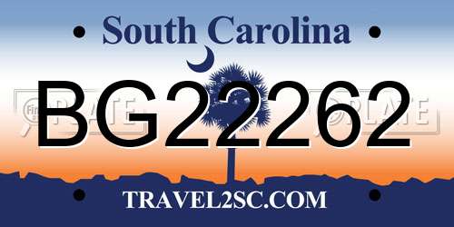 BG22262 South Carolina License Plate