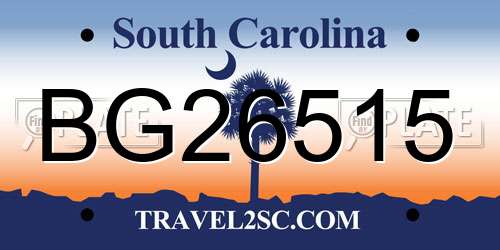BG26515 South Carolina License Plate