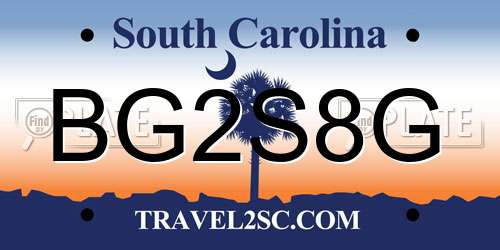 BG2S8G South Carolina License Plate