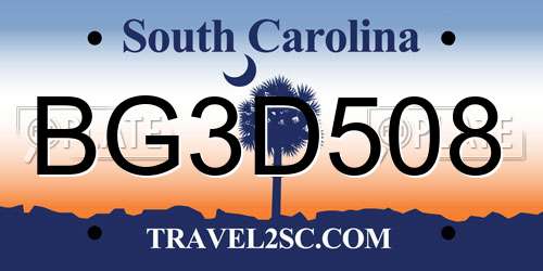 BG3D508 South Carolina License Plate