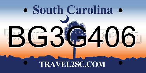 BG3G406 South Carolina License Plate