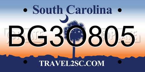 BG3O805 South Carolina License Plate