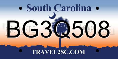 BG3Q508 South Carolina License Plate