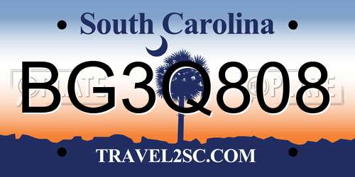 BG3Q808 South Carolina License Plate
