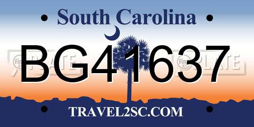 BG41637 South Carolina License Plate