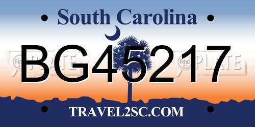 BG45217 South Carolina License Plate