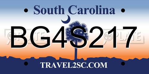 BG4S217 South Carolina License Plate