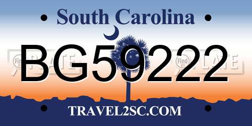 BG59222 South Carolina License Plate