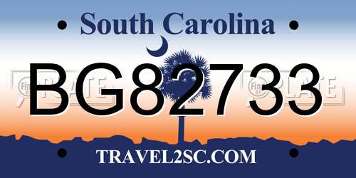 BG82733 South Carolina License Plate