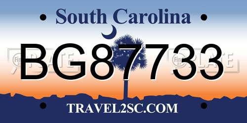 BG87733 South Carolina License Plate