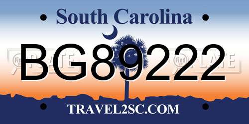 BG89222 South Carolina License Plate