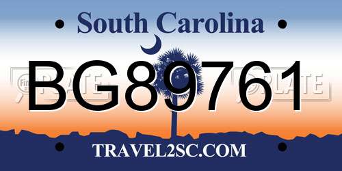 BG89761 South Carolina License Plate