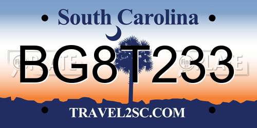 BG8T233 South Carolina License Plate