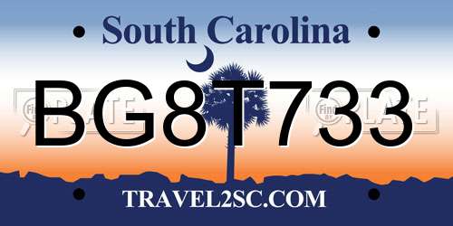 BG8T733 South Carolina License Plate