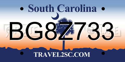 BG8Z733 South Carolina License Plate
