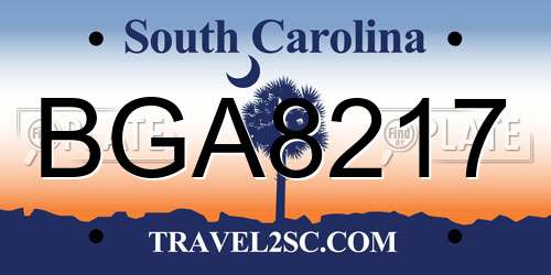 BGA8217 South Carolina License Plate