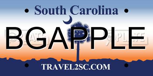 BGAPPLE South Carolina License Plate