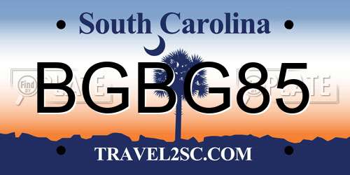 BGBG85 South Carolina License Plate