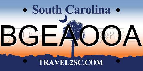 BGEAOOA South Carolina License Plate